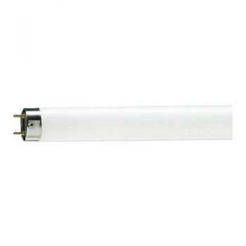 Bóng đèn huỳnh quang Philips 0m6 T8 Tiêu chuẩn